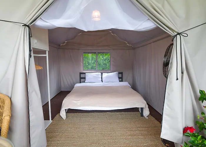 Kempingzator Glamping Kemping